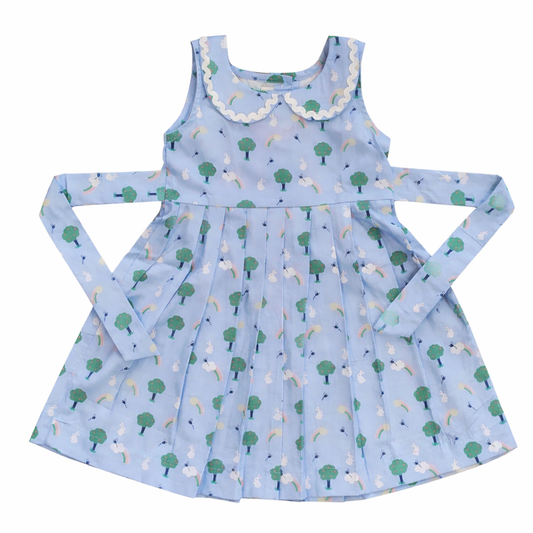 Blue Coller Printed Cotton Frock